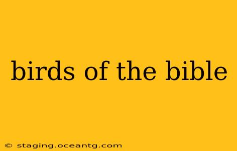 birds of the bible