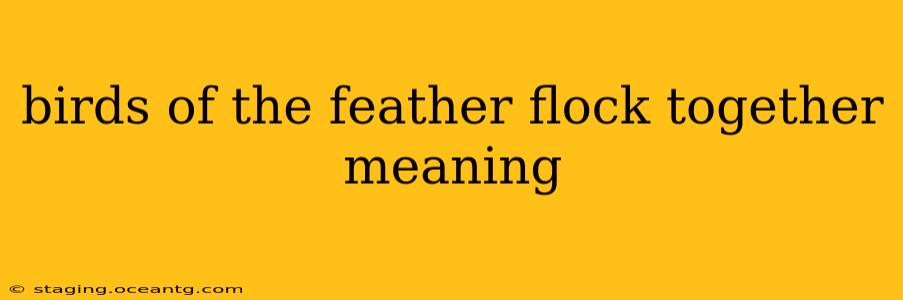 birds of the feather flock together meaning