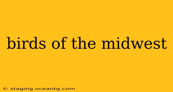 birds of the midwest