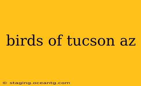 birds of tucson az