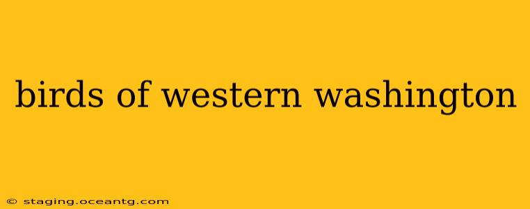 birds of western washington
