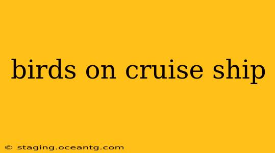 birds on cruise ship
