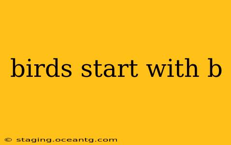 birds start with b