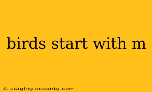 birds start with m