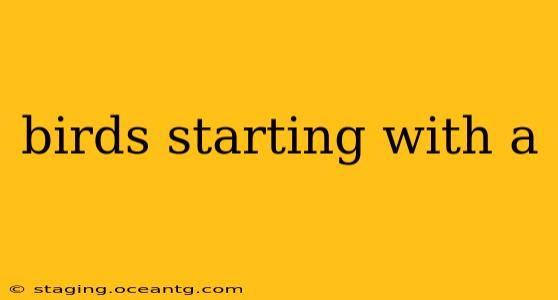 birds starting with a