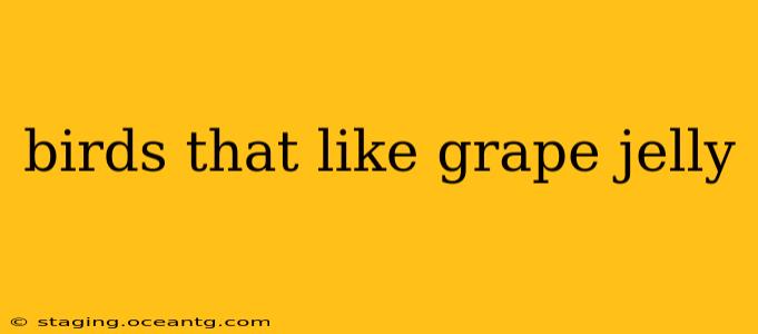 birds that like grape jelly