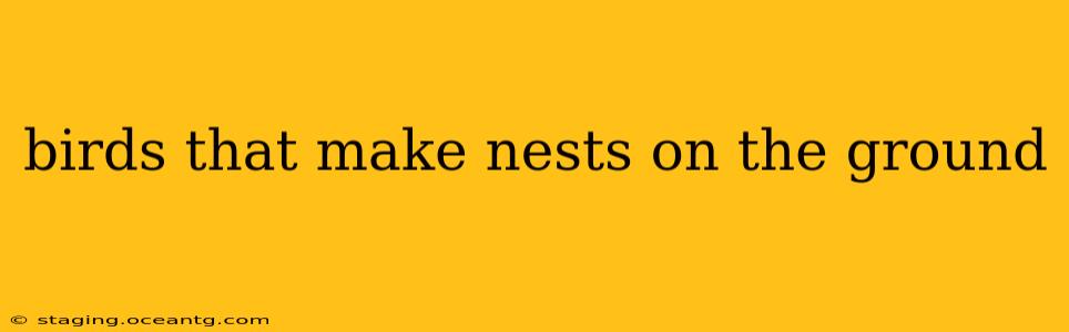 birds that make nests on the ground