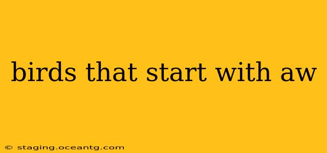 birds that start with aw