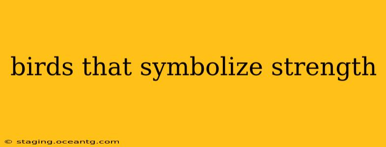 birds that symbolize strength