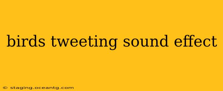 birds tweeting sound effect