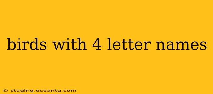 birds with 4 letter names