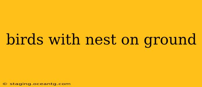 birds with nest on ground