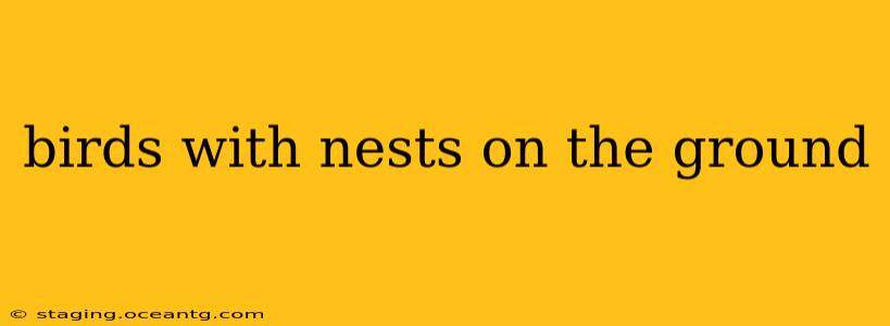 birds with nests on the ground