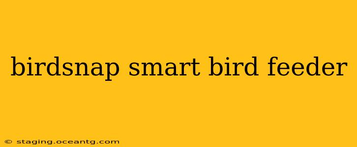 birdsnap smart bird feeder