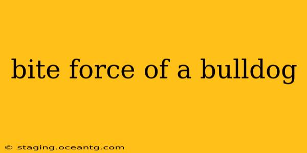 bite force of a bulldog