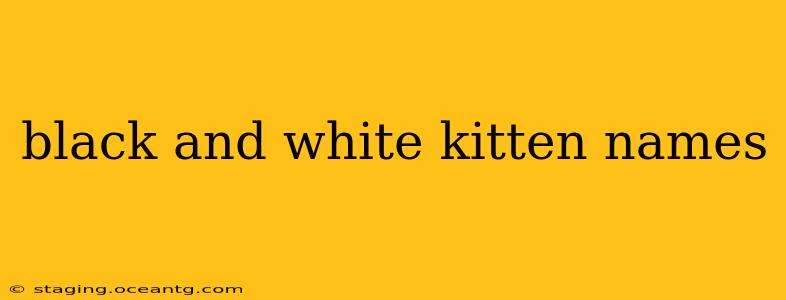 black and white kitten names