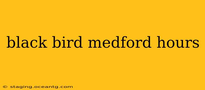 black bird medford hours