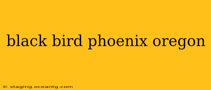 black bird phoenix oregon
