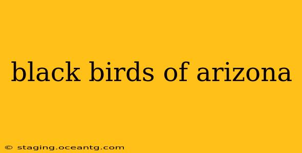 black birds of arizona