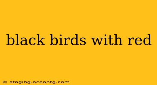 black birds with red