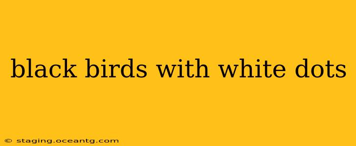 black birds with white dots