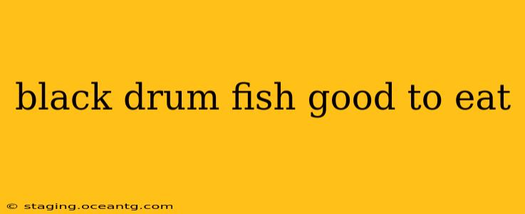 black drum fish good to eat