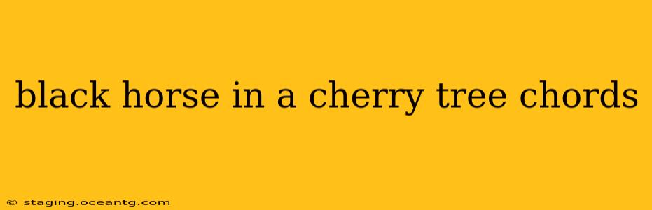 black horse in a cherry tree chords