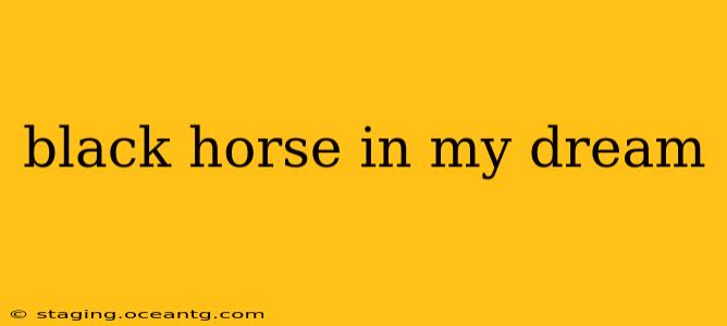 black horse in my dream