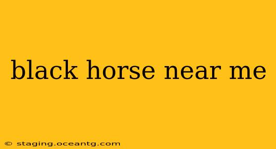 black horse near me