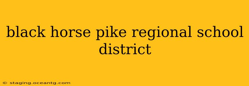black horse pike regional school district