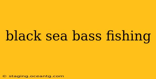 black sea bass fishing