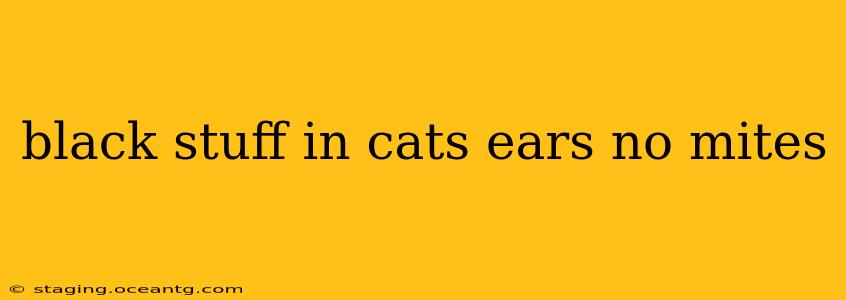 black stuff in cats ears no mites