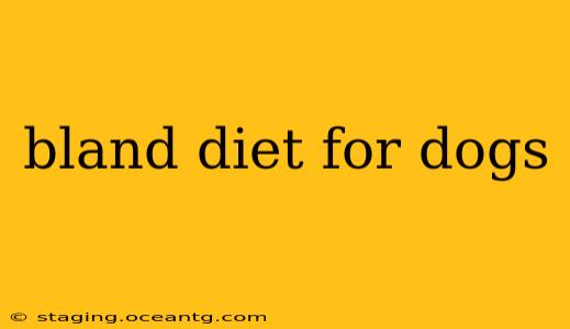 bland diet for dogs