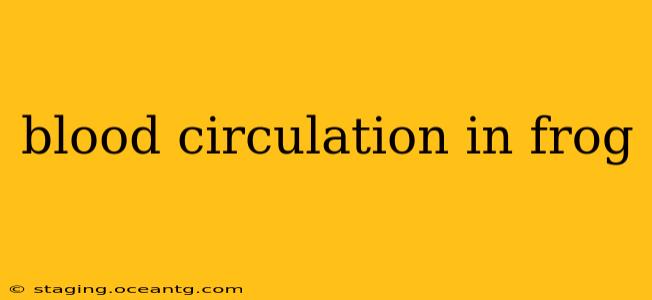 blood circulation in frog