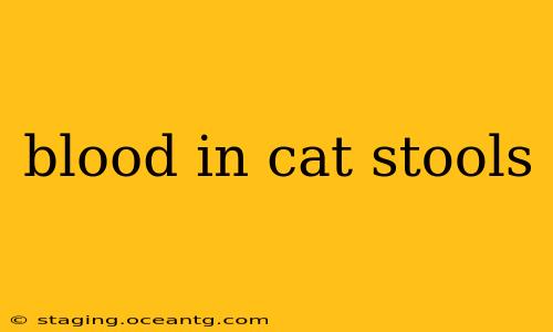 blood in cat stools