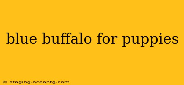 blue buffalo for puppies