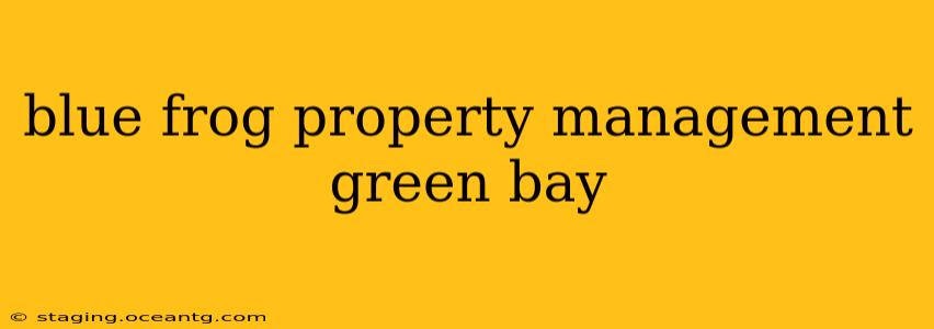 blue frog property management green bay