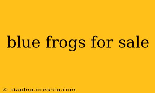 blue frogs for sale