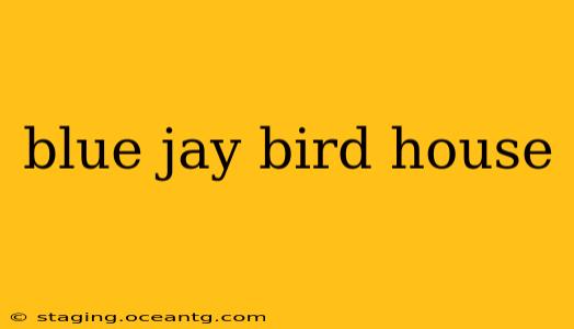 blue jay bird house