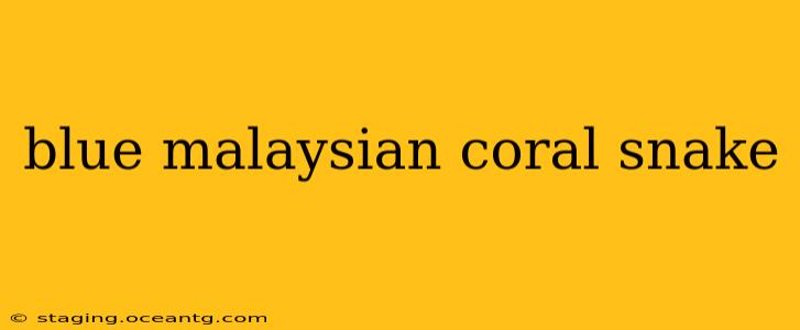 blue malaysian coral snake