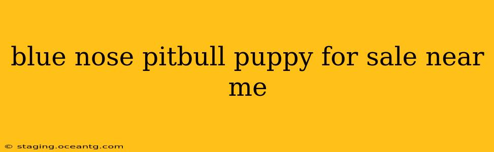 blue nose pitbull puppy for sale near me