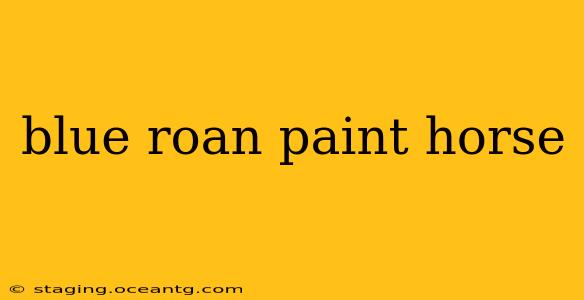 blue roan paint horse