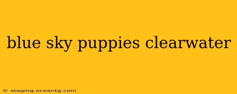 blue sky puppies clearwater