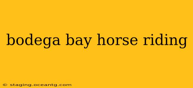 bodega bay horse riding