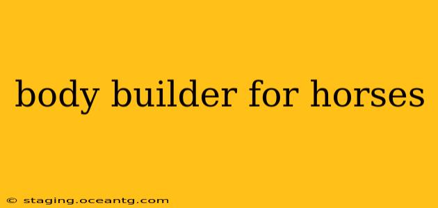 body builder for horses