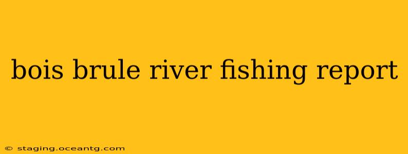 bois brule river fishing report