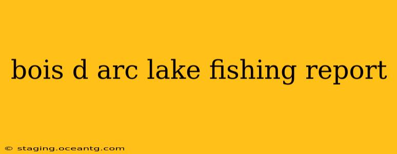 bois d arc lake fishing report