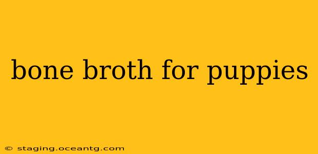 bone broth for puppies