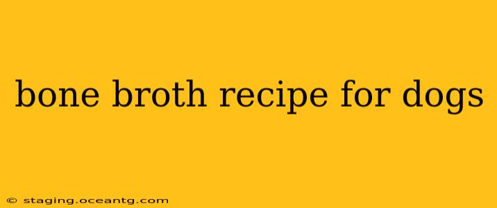 bone broth recipe for dogs