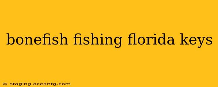bonefish fishing florida keys